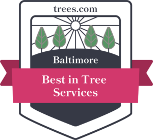 9af6ce4f62e1566c93d169bc88c2848997808fba A trees.com Best in Tree Services logo for Baltimore.