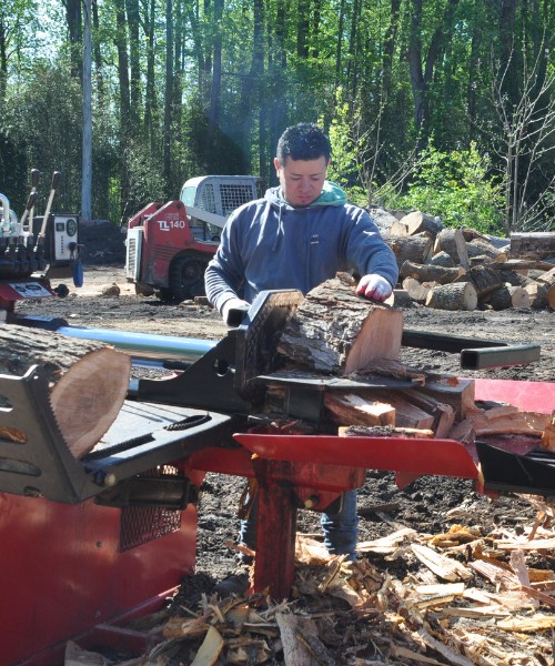 A-AAA-Website-Firewood-section-guy-logs-splitter A-AAA employee working on a firewood splitter for logs to be used for firewood