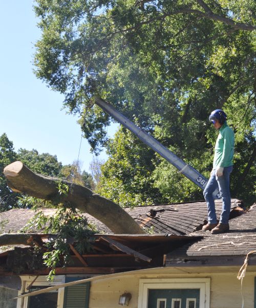 A member of the A-AAA Tree Service team watches as the crane lifts a section of a tree off of a house.