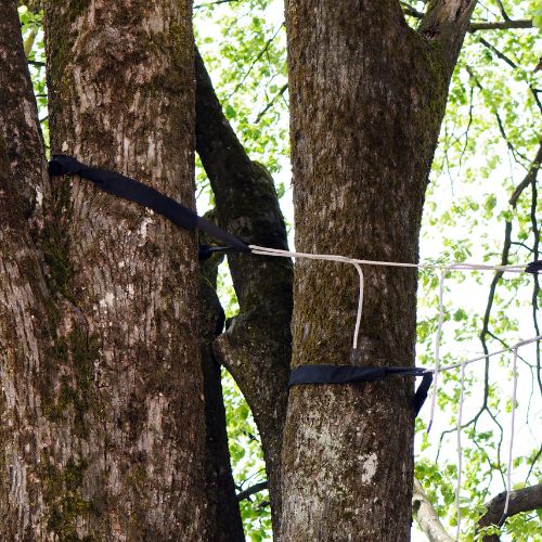 A-AAA-Website-cabling-section-tree-braced A tree with multiple cables installed in the Greater Baltimore Area.