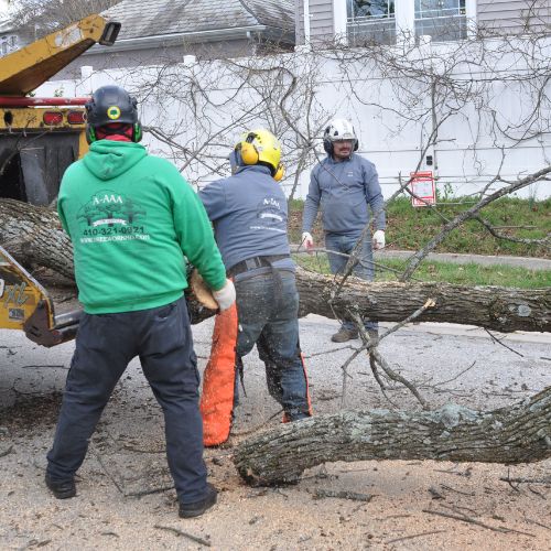 A-AAA-Website-clearing-section-3-crew-members Two members of the A-AAA Tree Service loading a large branch into a wood chipper during a lot clearing job.
