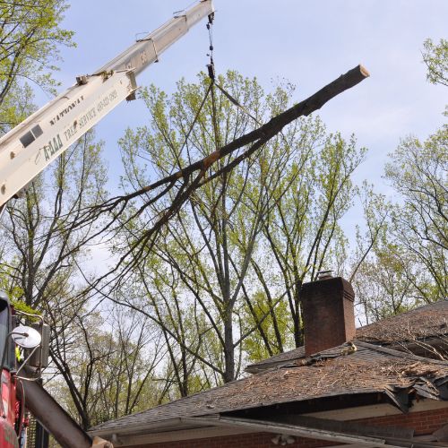 A-AAA-Website-crane-section-tree-log-lifted-crane The A-AAA Tree Service crane lifting a log off of a house during emergency tree removal in the Greater Baltimore Area.
