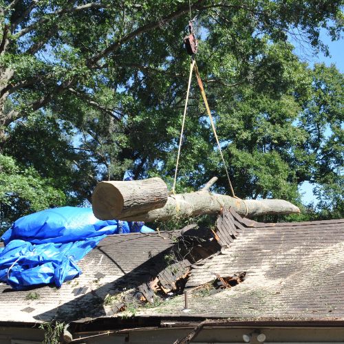 A-AAA-Website-home-section-fallen-tree-roof The A-AAA Tree Service crane lifts a fallen tree off of a house.