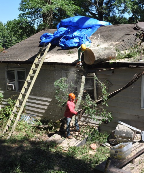 A-AAA-Website-local-page-perry-section-cleanup-twoguys-ladder Two members of the A-AAA Tree Service team working to remove a log from the top of a house during emergency tree removal in the Greater Baltimore Area.