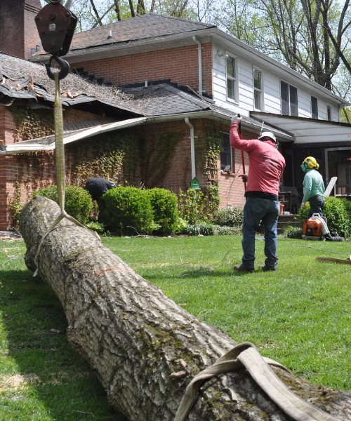 Two members of the A-AAA grounds crew preparing a log for lifting.
