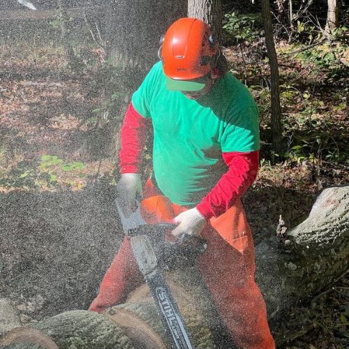 A-AAA-Website-removal-section-man-chainsaw-trunk A member of the A-AAA Tree Service team using a chainsaw to cut a log during tree removal in the Greater Baltimore Area.