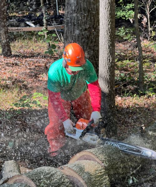A-AAA-Website-resources-crew-chainsaw-trunk A member of the A-AAA Tree Service team uses a chainsaw to cut a log during tree removal in the Greater Baltimore Area.