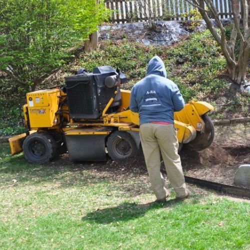 A member of the A-AAA Tree Service team surveys the stump grinder.