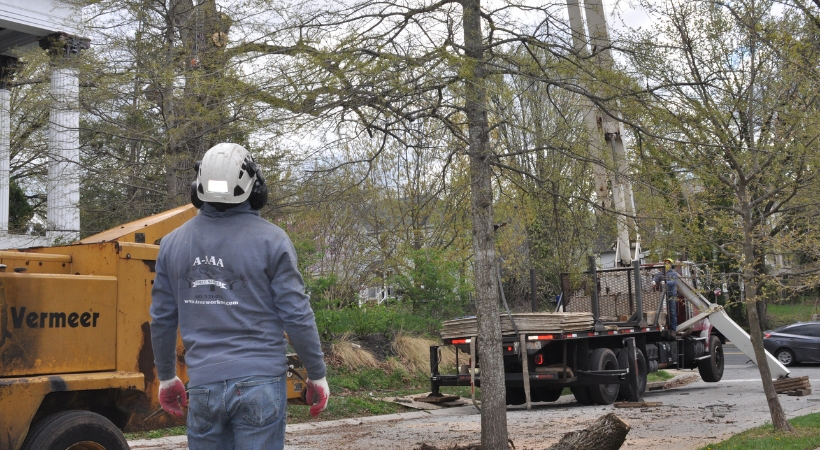 An A-AAA Tree Service crane operator in green uniform operating equipment during professional treae removal in Baltimore.