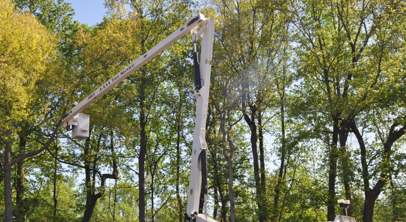 The A-AAA Tree Service bucket truck assists in tree removal in Carroll County, MD.