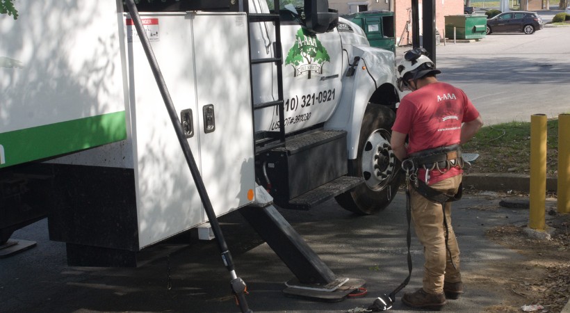 A climber from A-AAA Tree Service putting on safety gear before tree removal in Howard County, MD.