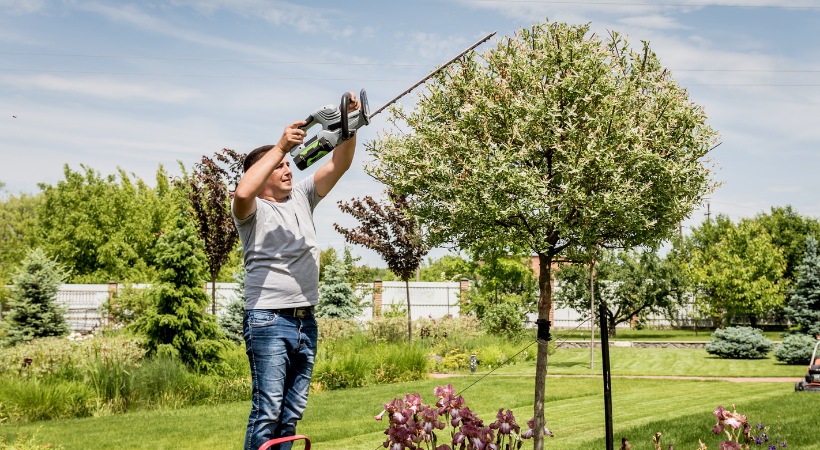 A homeowner in jeans and a gray t-shirt uses a battery-powered hedge trimmer to shape a small ornamental tree in a suburban backyard.