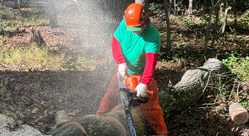 An A-AAA Tree Service ground crew member in safety gear uses a chainsaw to process logs during professional tree removal.