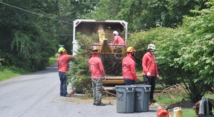 A-AAA Tree Service crew members work safely around a professional wood chipper truck during tree debris cleanup in Baltimore County. 