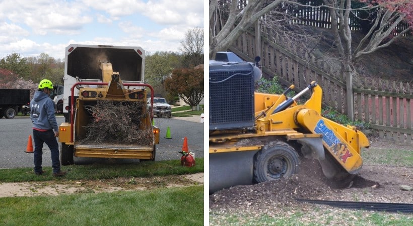 Side-by-side images showing an A-AAA Tree Service crew member feeding brush into a chipper truck on a residential street, alongside a yellow Carlton stump grinder reducing a tree stump into wood chips in a fenced backyard.