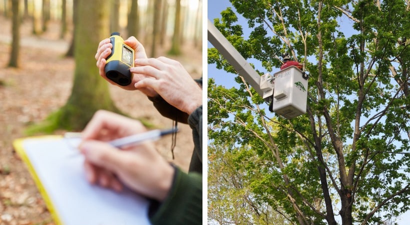 Side-by-side images showing a Maryland Licensed Tree Expert recording measurements on a clipboard during an on-site tree assessment, alongside an A-AAA Tree Service arborist working from an elevated bucket truck in a leafy residential canopy.