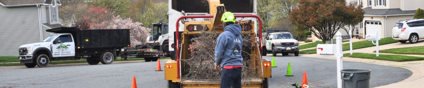 A-AAA-website-local-page-section-baltimore-wood-chippper A member of the A-AAA Tree Service team loading a cut branch into the wood chipper.