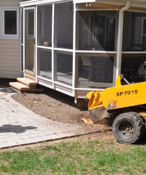 A-AAA Tree Service technician inspecting an old tree stump next to a screened porch before grinding