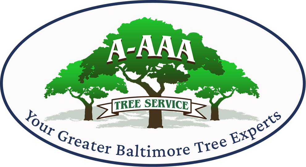 The A-AAA Tree Service logo.