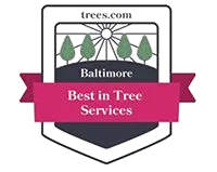 a-aaa-tree-service-logo-baltimore-240w-removebg-preview A trees.com Best in Tree Services logo for Baltimore.