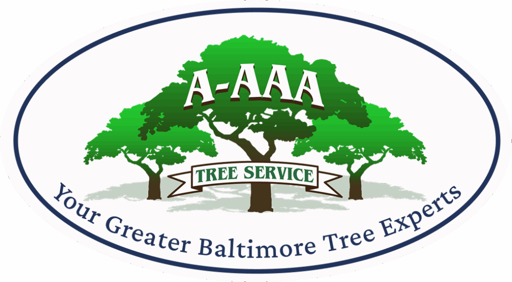 Tree Aaa A-AAA Tree Service | Tree Removal, Trimming & Storm Cleanup in the ...