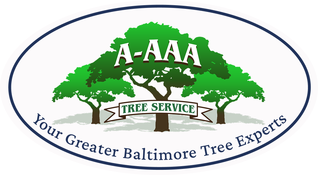logo-a-aaa-white-padding